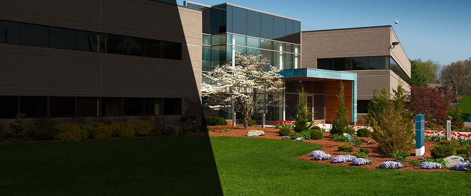 Los Fresnos Landscapers