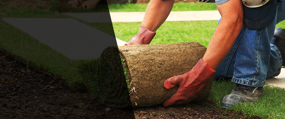 Los Fresnos Landscapers